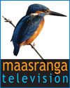 Maasranga Television